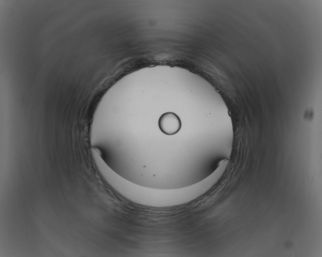 X0000091970421200710041053