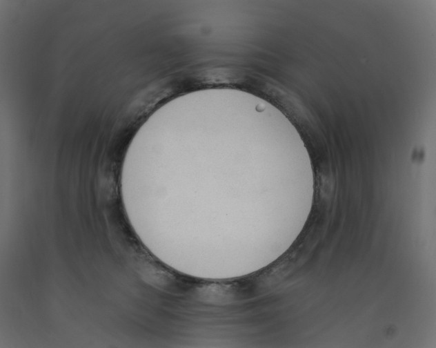 X0000091970422200710041053