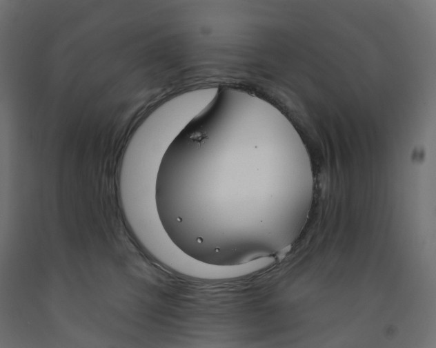 X0000091970423200710041053