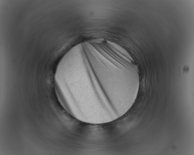 X0000091970424200710041053