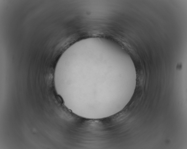 X0000091970427200710041053