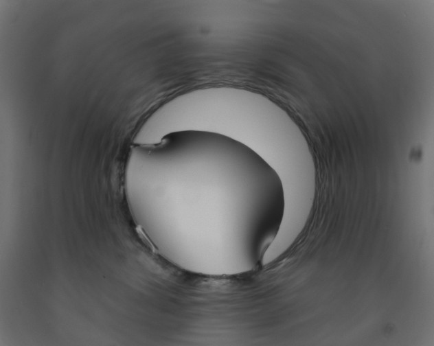 X0000091970428200710041053