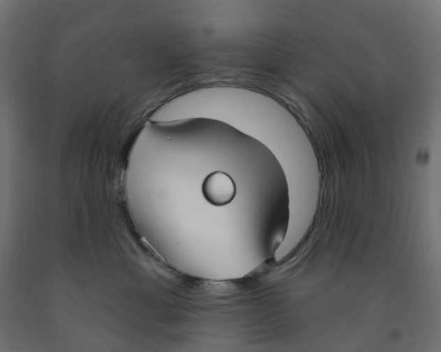 X0000091970429200710041053