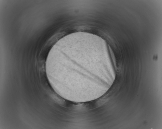 X0000091970430200710041052
