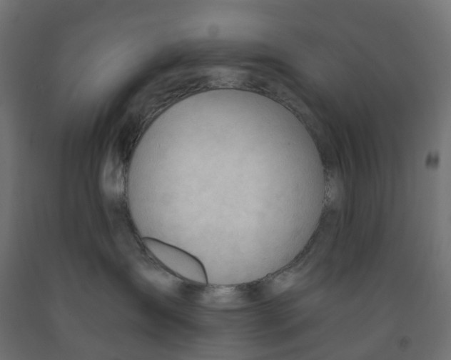 X0000091970431200710041052