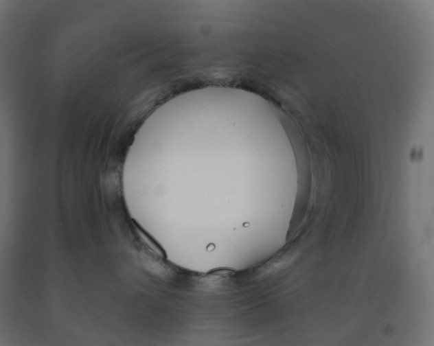 X0000091970432200710041052