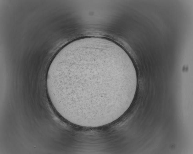 X0000091970433200710041052