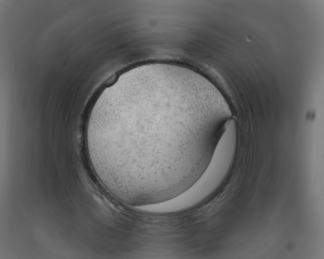 X0000091970435200710041052