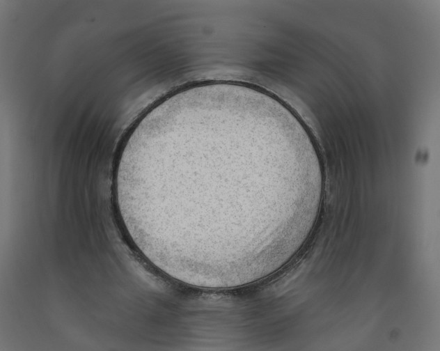 X0000091970437200710041052