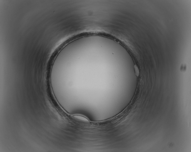 X0000091970440200710041052