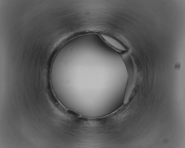 X0000091970444200710041052