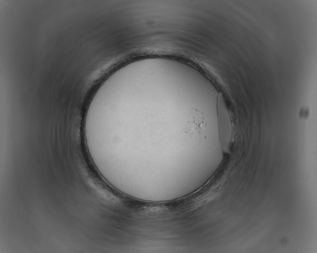X0000091970446200710041052