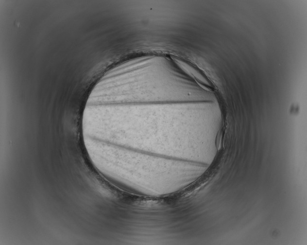 X0000091970449200710041052