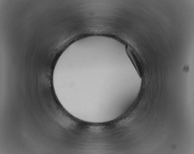 X0000091970450200710041052