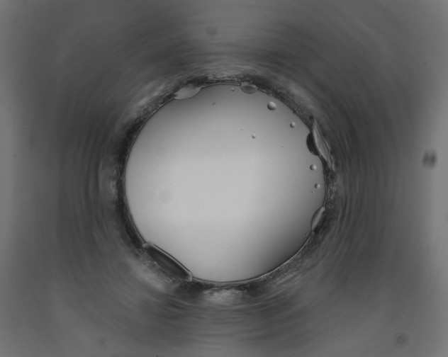 X0000091970452200710041052