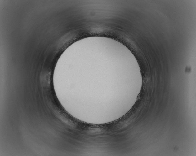 X0000091970454200710041052