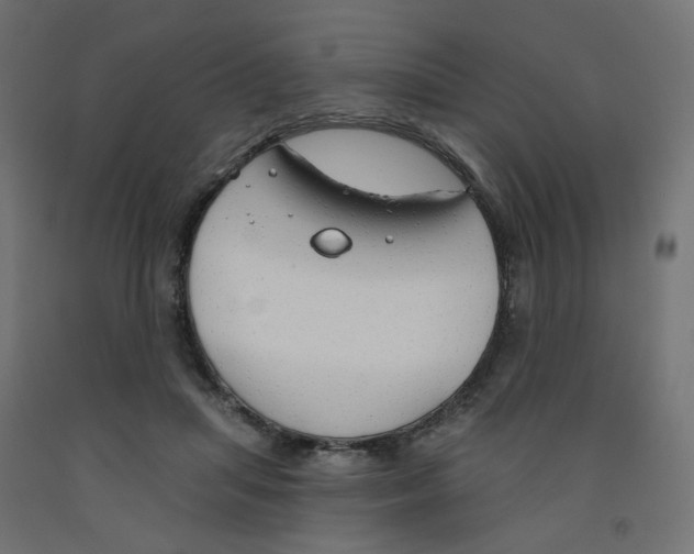 X0000091970455200710041052