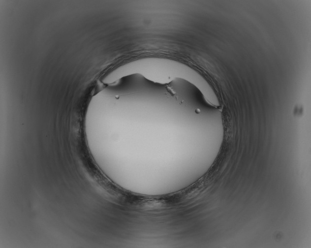 X0000091970456200710041052