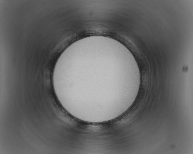 X0000091970457200710041052