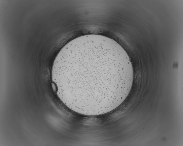 X0000091970459200710041052