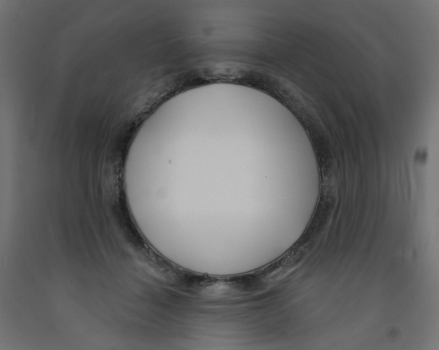 X0000091970460200710041052
