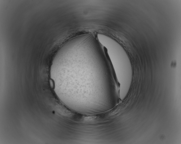 X0000091970461200710041052