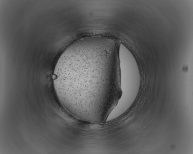 X0000091970462200710041052
