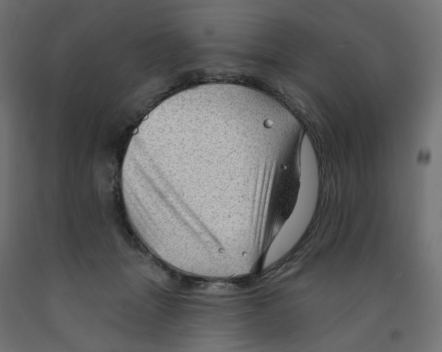 X0000091970463200710041052