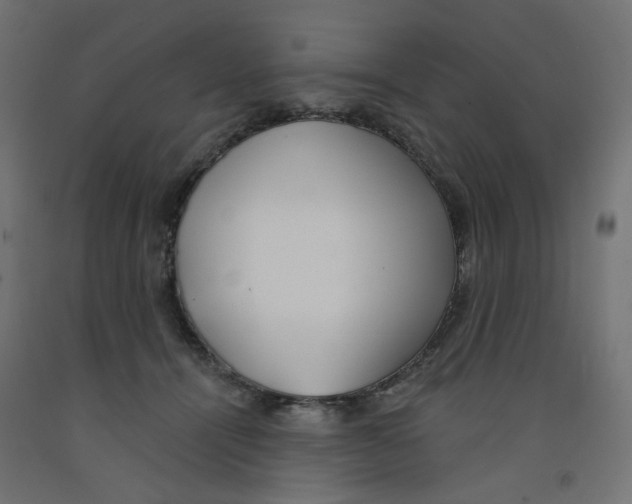 X0000091970464200710041052