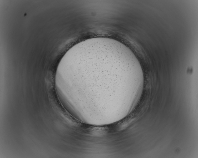 X0000091970465200710041052