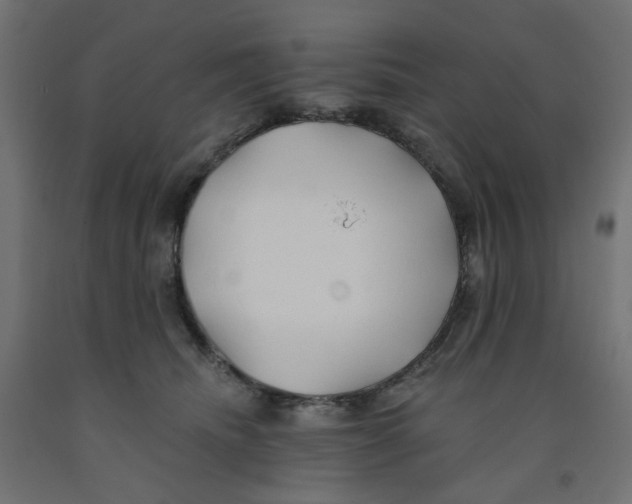 X0000091970468200710041052