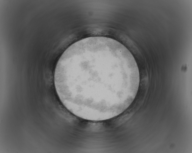 X0000091970469200710041052