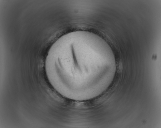 X0000091970472200710041052