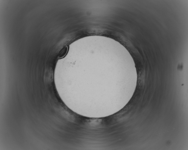 X0000091970474200710041052