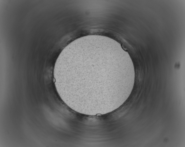 X0000091970475200710041052