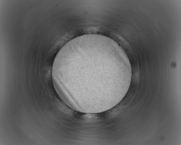 X0000091970477200710041052