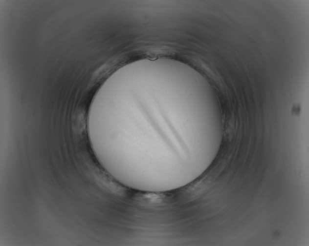 X0000091970478200710041052