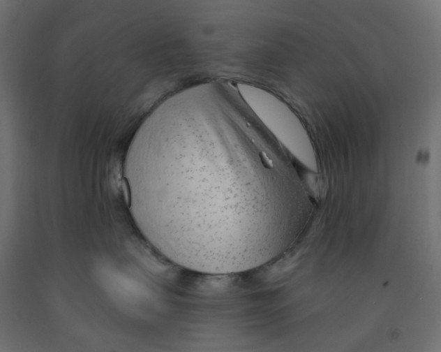 X0000091970479200710041052