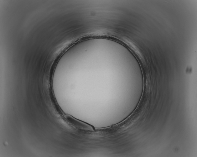 X0000091970485200710041052