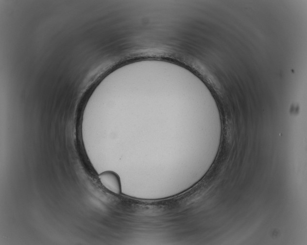 X0000091970486200710041052