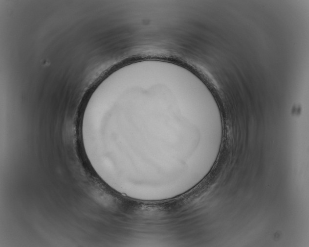 X0000091970487200710041052
