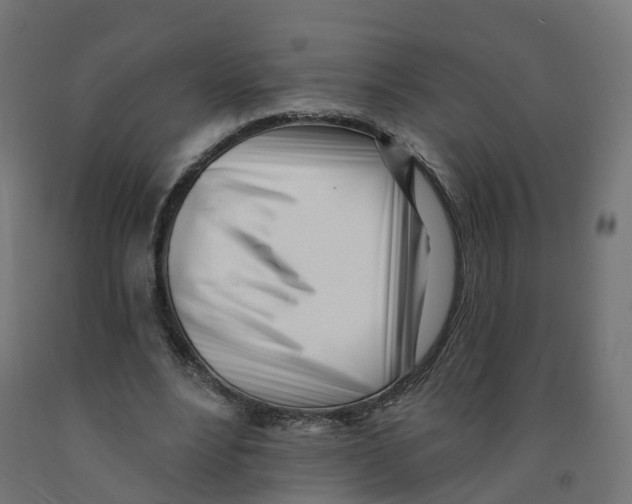 X0000091970488200710041052
