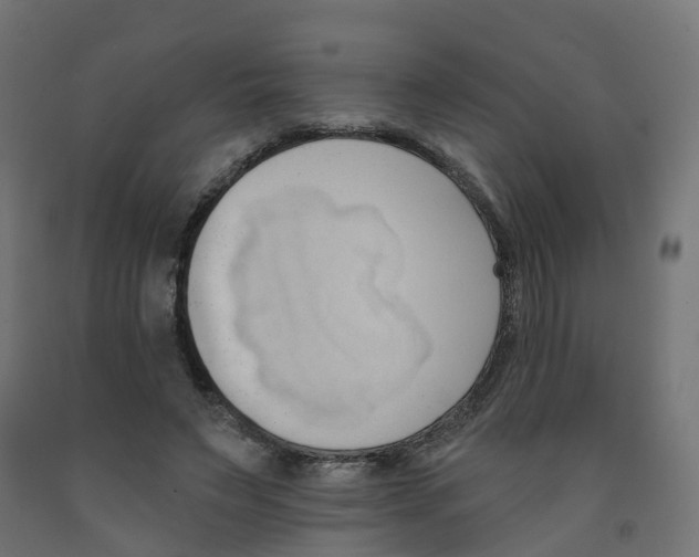 X0000091970495200710041052