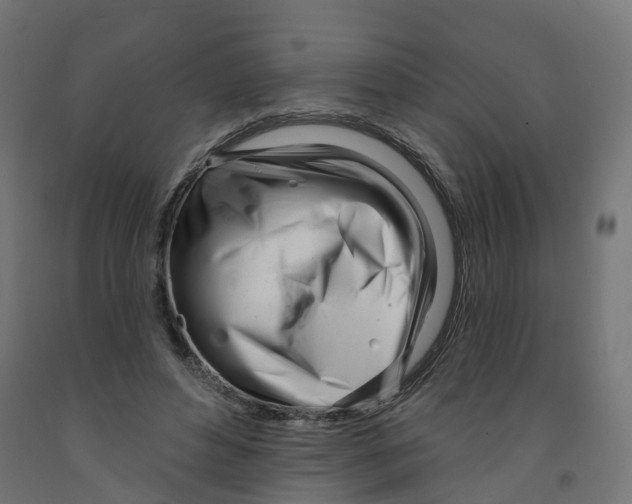 X0000091970496200710041052