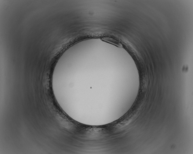 X0000091970497200710041052