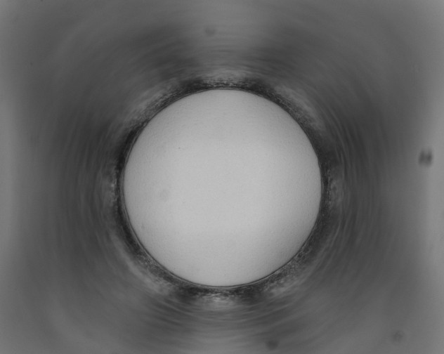 X0000091970498200710041052