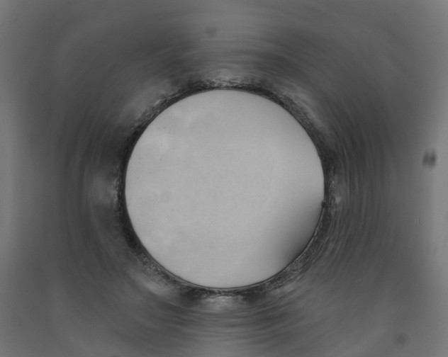 X0000091970499200710041052