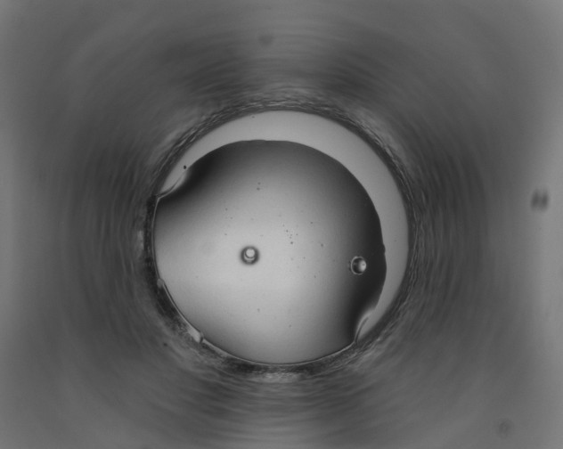 X0000091970501200710041052