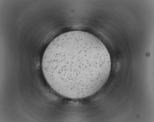 X0000091970502200710041052