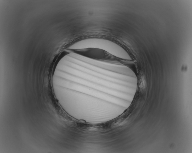 X0000091970504200710041052